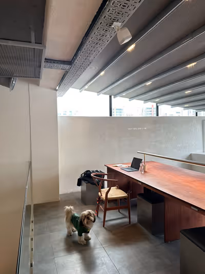 Dog sitting on an office